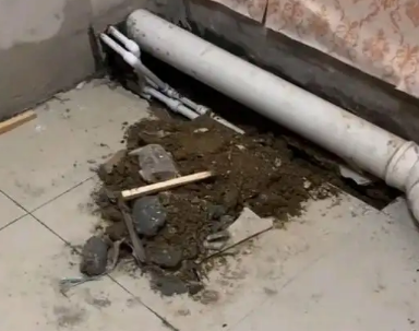 怀宁卫生间漏水检测哪家好